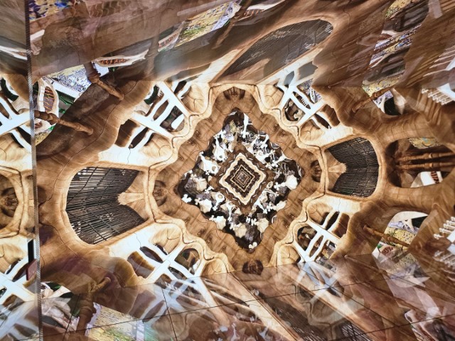 20260223_140900.jpg